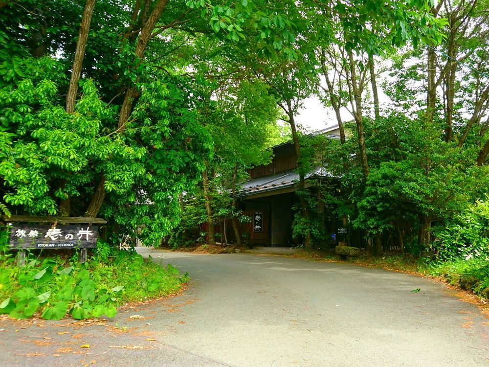 Kurokawa Onsen Ryokan Ichinoi Минамиогуни Экстерьер фото